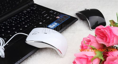 深圳電子產品攝影 鼠標產品攝影 羽城攝影設計,深圳電子產品攝影 鼠標產品攝影 羽城攝影設計生產廠家,深圳電子產品攝影 鼠標產品攝影 羽城攝影設計價格